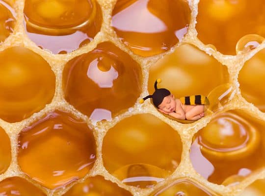 Comment reconnaître le miel de Soumour ?